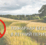 Пожарная безопасность в летний период - Администрация г. Карачаевск